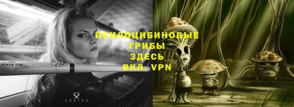 прущие крисы Богданович