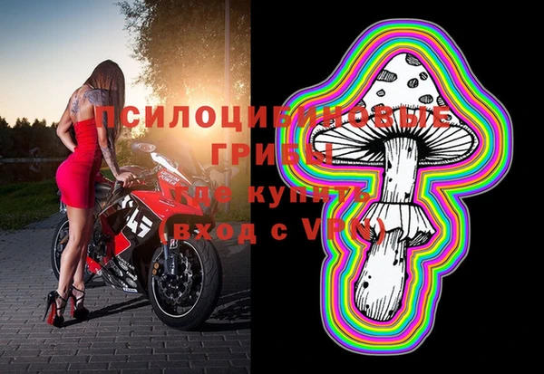 прущие крисы Богданович