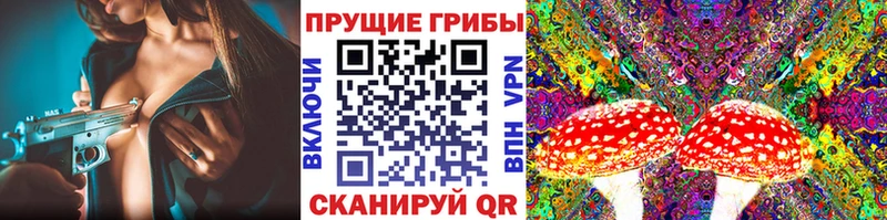 Галлюциногенные грибы Cubensis Михайловка