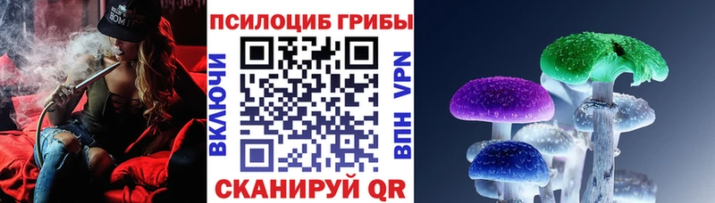 Псилоцибиновые грибы ЛСД Михайловка