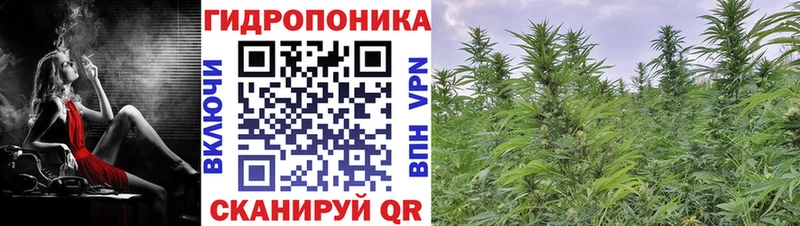 дарк нет состав  Михайловка  Конопля конопля  где продают наркотики  кракен вход 